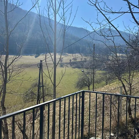 Feigenterrasse Beim Semmering *